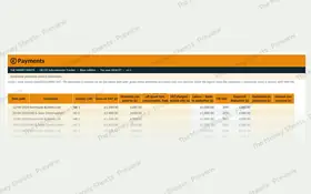 CIS payments log